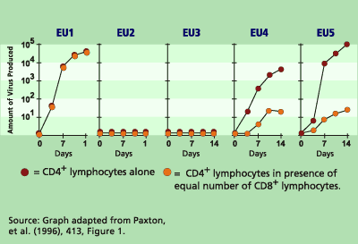 Graph: Lymphocyte Experiment Data