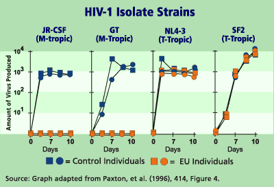 Graph: HIV-1 Isolate Strains