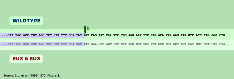 Graphic: Genetic Sequences for CCR5 Gene