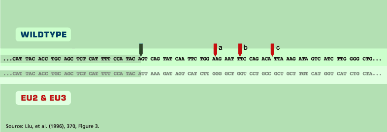 Graphic: Genetic Sequences for CCR5 Gene