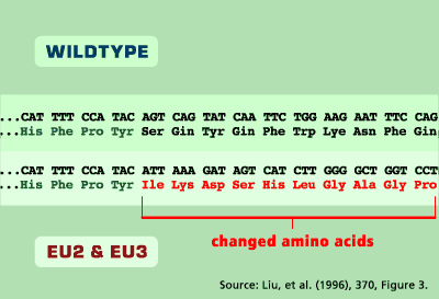 Amino Acids
