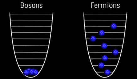 Bosons and Fermions
