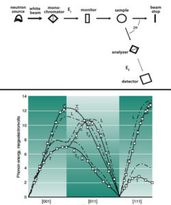 INS and Phonon Spectrum