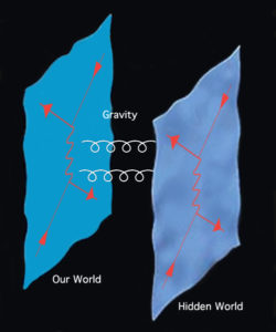branes world