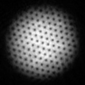 BEC Vortices