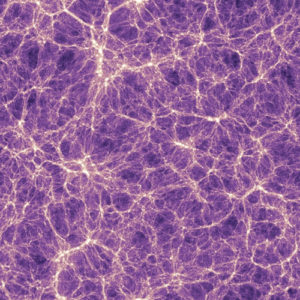 Dark Matter Simulation