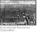 A Southern plantation