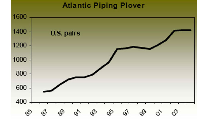 Atlantic piping plover recovery trends