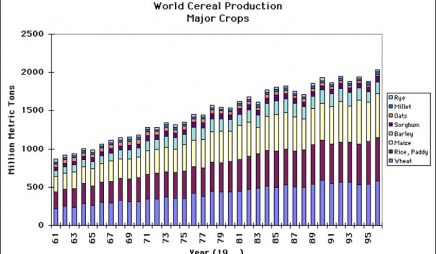 World cereal production