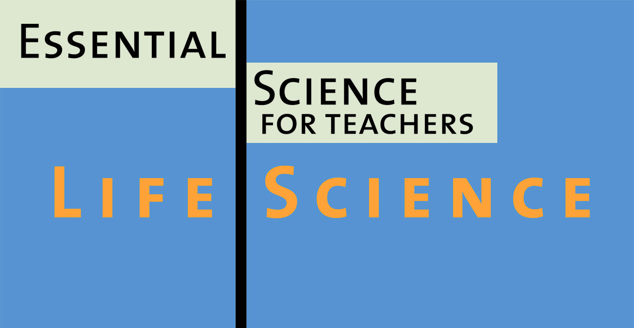 Teach Children Well: The King of the Hill is Typically not a Good Teacher