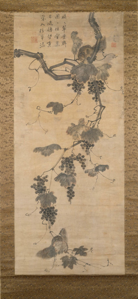 Grapevine in the Wind