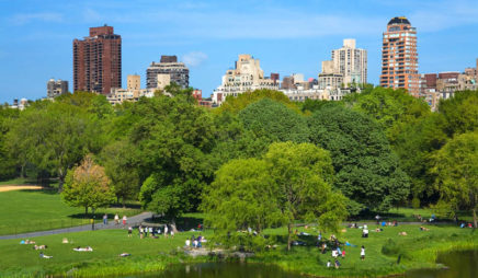 Central Park (view of the Turtle Pond)
