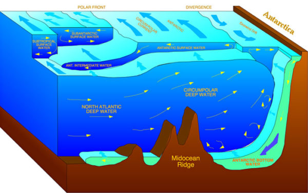 Cold water masses