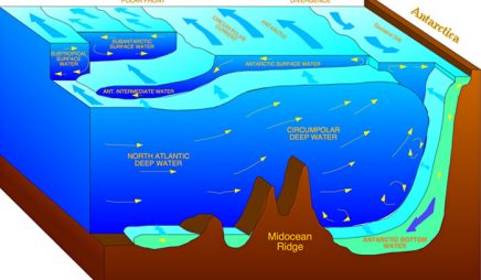 Cold water masses