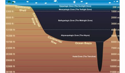 Layers of the ocean