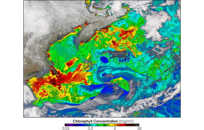 North Atlantic spring bloom, March 28, 2003 (Cape Cod to Newfoundland shown)